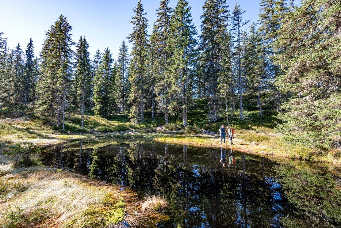 Wildschönau-High-Trail-Hike