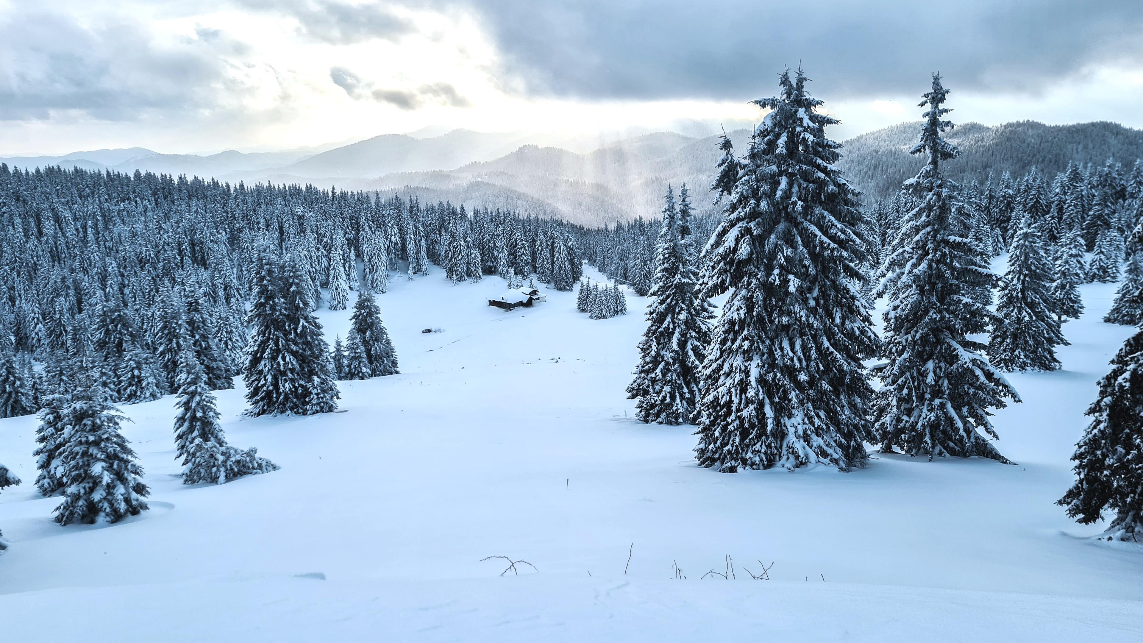 sun through clouds and snow covered trees in Norway