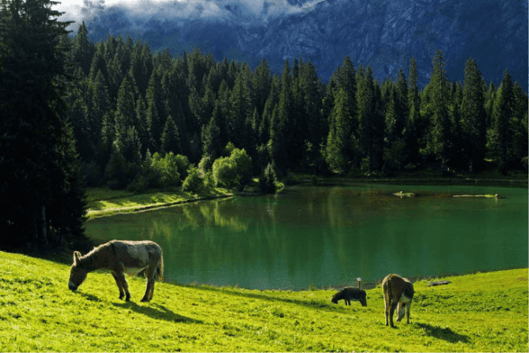 Gold-Mines-Lake-Loop-Morzine